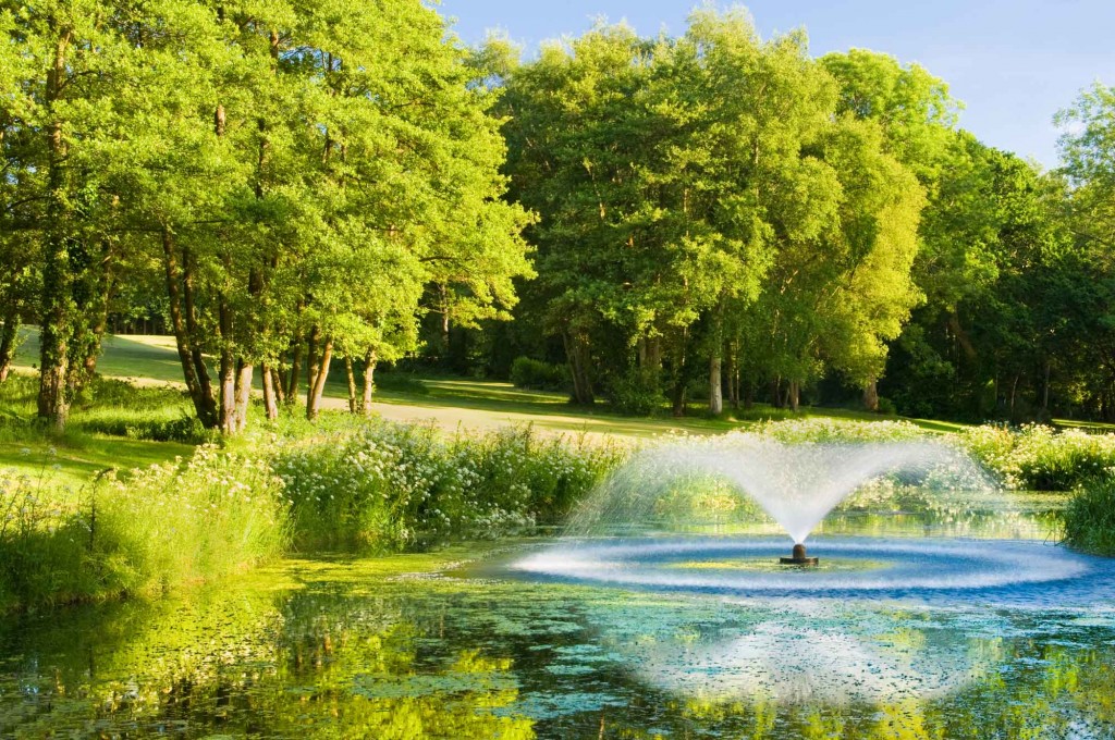 Fitter Stronger at Chewton Glen